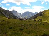 Ehrwald - Zugspitze